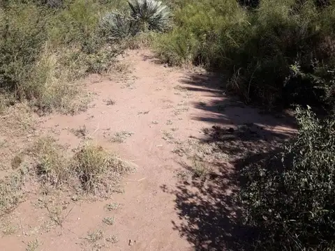 Excelente Chacra de 1 Ha 1083 M²/ Titulos Perfectos