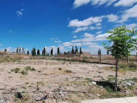 Terreno en Venta 16  mts Frente