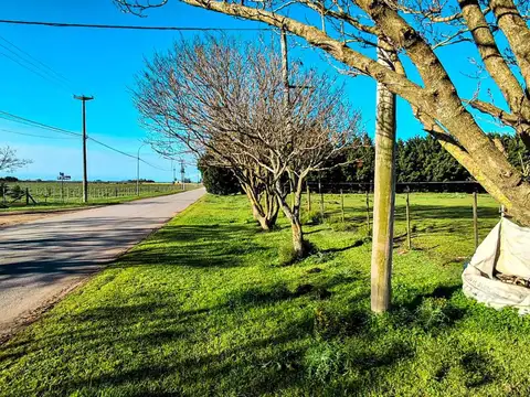 VENTA CAMPO 2,63 HA SOBRE ASFALTO C/ SERVICIOS