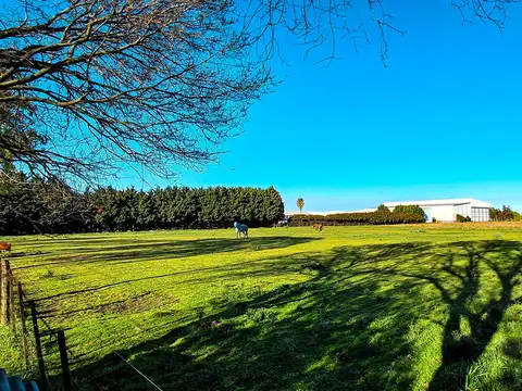 VENTA CAMPO 2,63 HA SOBRE ASFALTO C/ SERVICIOS
