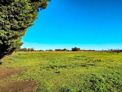 VENTA CAMPO 2,63 HA SOBRE ASFALTO C/ SERVICIOS