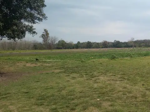 Venta porción de campo en Mercedes