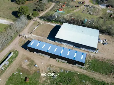 Galpón en Venta en Pinamar, Partido de Pinamar