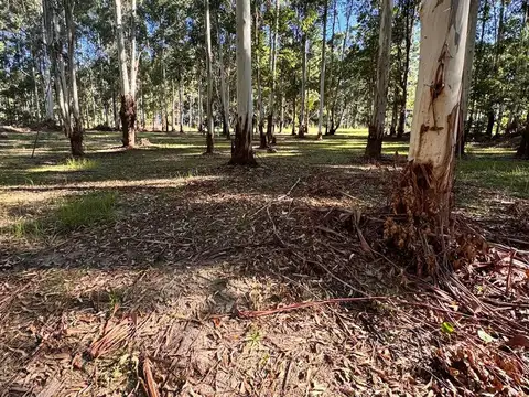 LOTES EN VENTA EN C. CAROLINA CON FINANCIACION