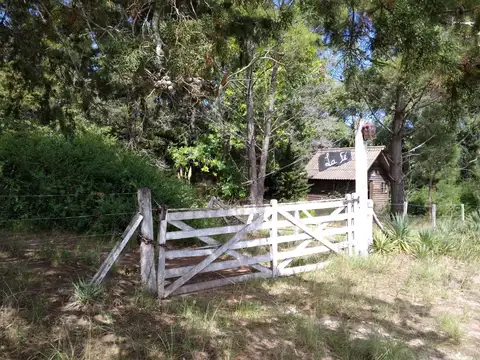 4,5 HECTAREAS TOTALMENTE ARBOLADAS CON SALIDA A CALLE 32 DE VILLA GESELL