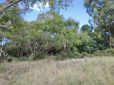 Ruta Interbalnearia11 Km 413