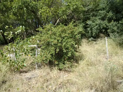 Campo en Venta con Alambrado