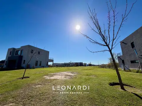 El Naudir - Lote 103