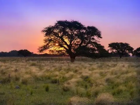 Terreno en Sarratea y Salta
