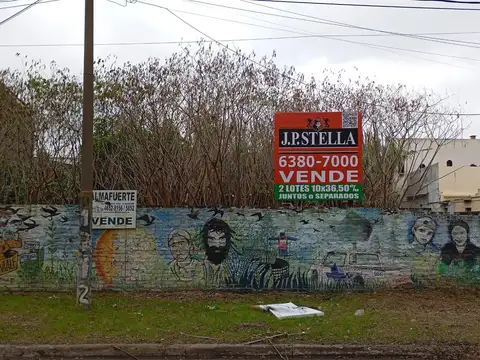 2 LOTES 10x36,50 (730m²) Juntos o Separados - APTO DESARROLLO INMOBILIARIO - Lomas Del Mirador