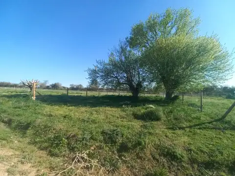 Terreno en Venta 12  mts Frente