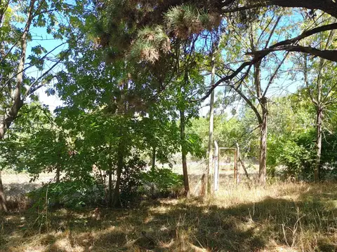 Terreno en Venta, FOT 80