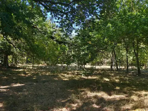 Terreno en Venta, FOS 60