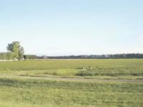 Campo en Venta de 230  ha