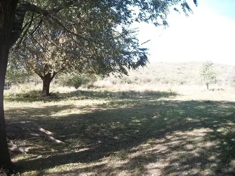 Elías López 500