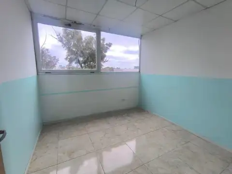 Quintana 1000