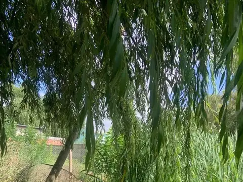 Terreno en Venta 45  mts Fondo