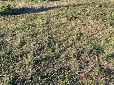 Vende Terreno en Loteo Don Vicente - Neuquén