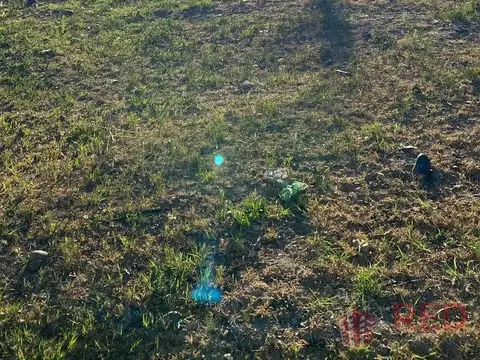 Terreno en Venta 25  mts Fondo