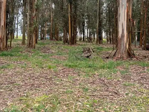 Terreno en Venta de 303,0 m2