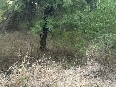 Terreno en Venta de 56400,0 m2