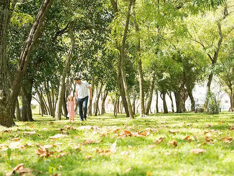 Terreno en Venta de 613,0 m2