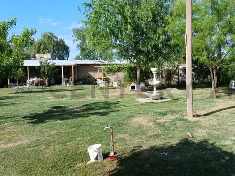 VENTA DE CASA CON QUINCHO Y PILETA EN LA PRIMAVERA, MENDOZA. ID: 350066
