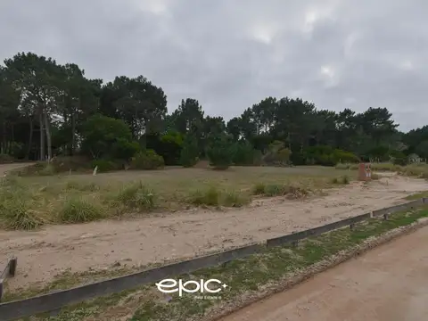 Northbeach - Santa Barbara Lote 9