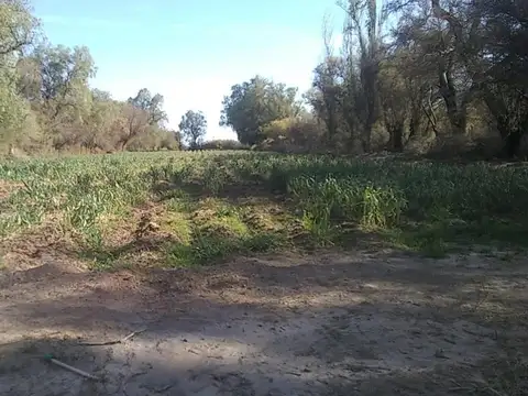 Terreno en Venta en Villa San Jose de Vinchina, Vinchina