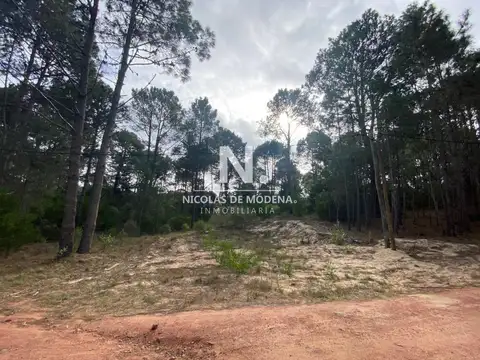 OPORTUNIDAD. TERRENO EN VENTA EN CLUB DEL LAGO, PUNTA BALLENA. 