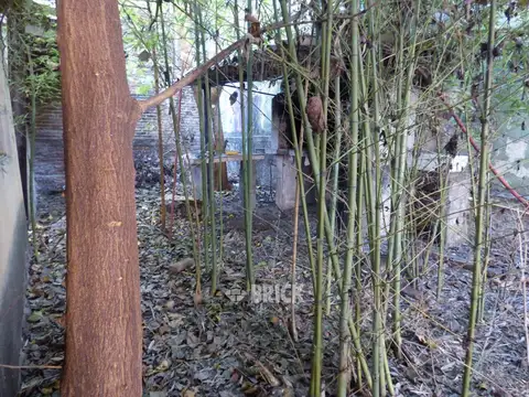 BARROS PAZOS al 5900