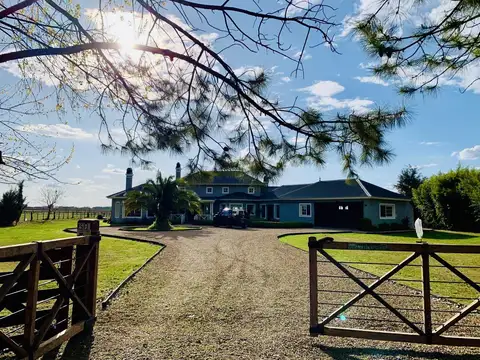 Haras El Malacate Exaltacion de la Cruz
