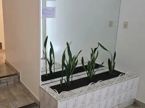 San Luis al 3200