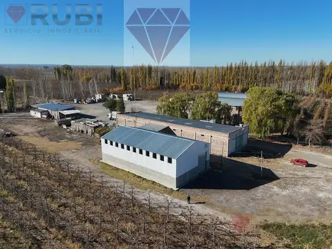 Galpon en alquiler sobre Ruta 22