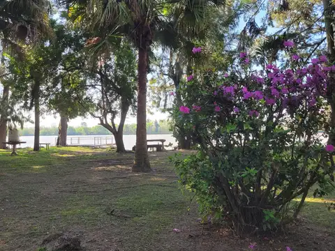 Terreno en Venta de 29000,0 m2