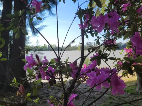 Terreno en Venta de 29000,0 m2