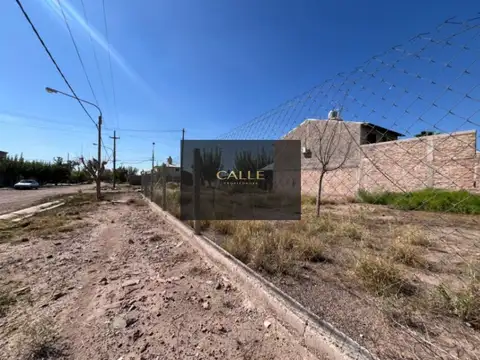 calle gaia, Rodeo del 100