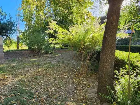 Terreno en Venta de 40526,0 m2