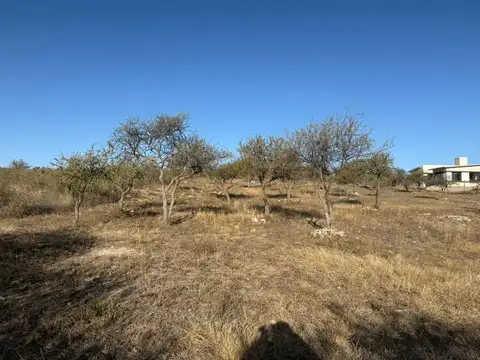 Terreno en Venta de 1000,0 m2