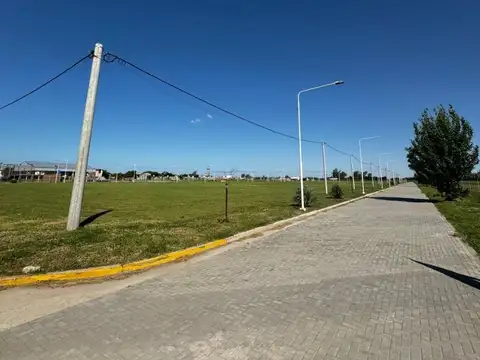 Terreno en Venta 41  mts Fondo
