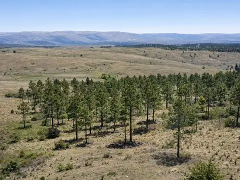 Venta Lote de 1 Hectárea, Villa Berna Calamuchita