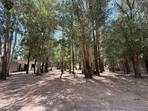 VENTA - TERRENO EN PUERTO PARAISO - GENERAL LAGOS
