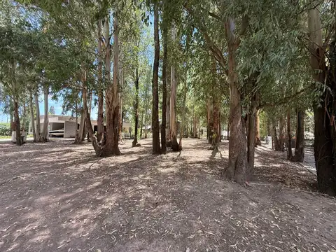 Terreno en Venta en General Lagos, USD 100.000