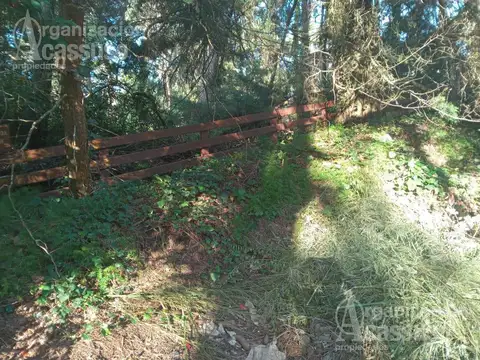 Cohiue al 200 Cariló