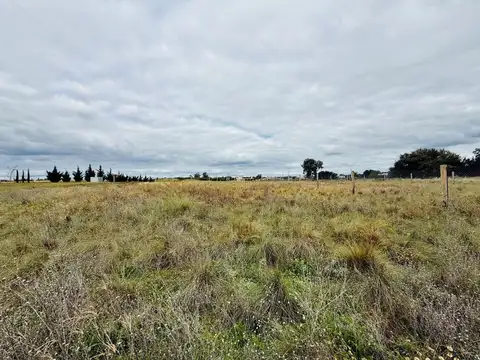 Terreno en Venta de 950,0 m2