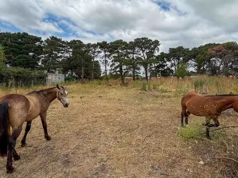 Quinta en Venta en Tandil, USD 150.000