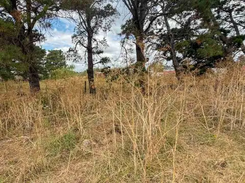 VENTA CASA QUINTA CON CASA A RECLICLAR TANDIL