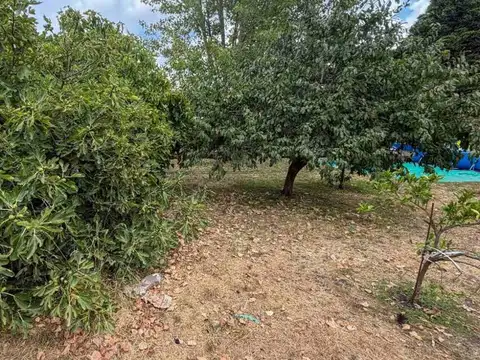 VENTA CASA QUINTA CON CASA A RECLICLAR TANDIL