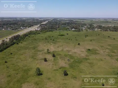 Campo en venta de 256 has sobre Ruta 2 - Ideal desarrollo Inmobiliario