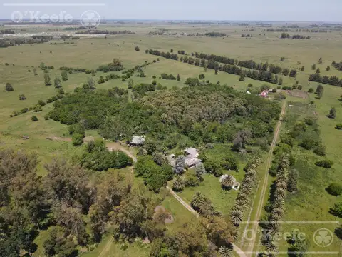 Campo en venta de 256 has sobre Ruta 2 - Ideal desarrollo Inmobiliario